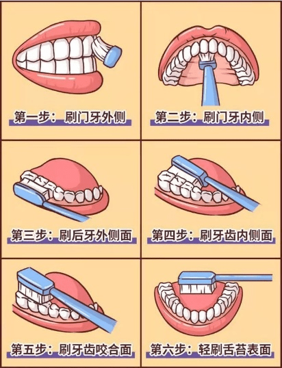 牙齿|答应我，至少每天好好刷牙！
