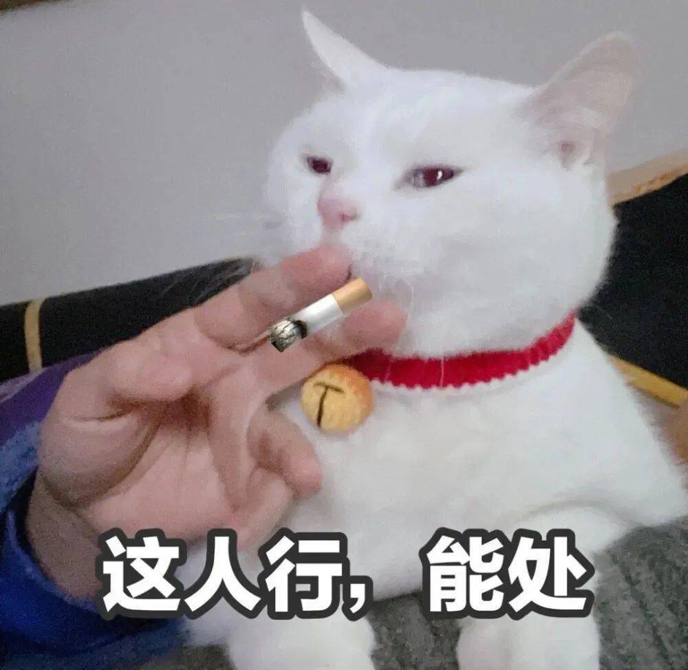微信聊天斗图表情包