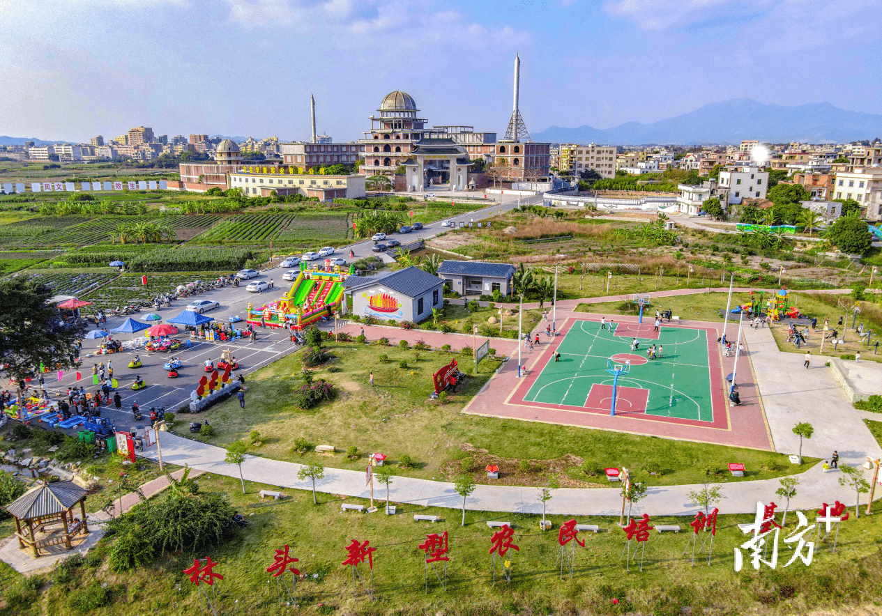 电白:美丽宜居 绘就乡村新图景_建设村_农村_整治