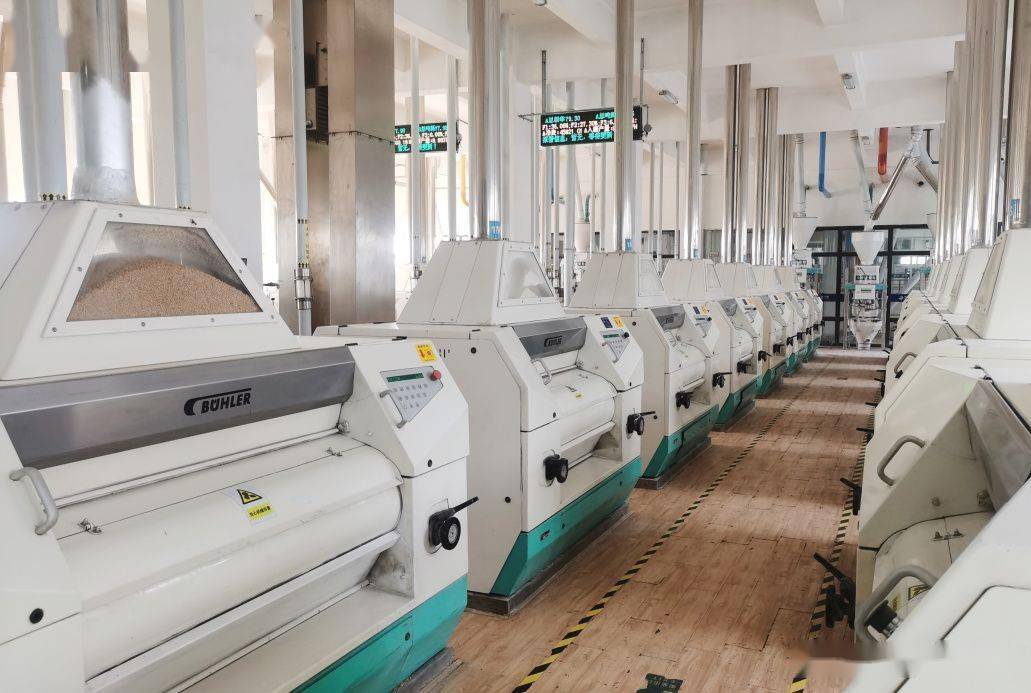 日加工小麦500吨蔡甸保供企业全力保障放心粮生产