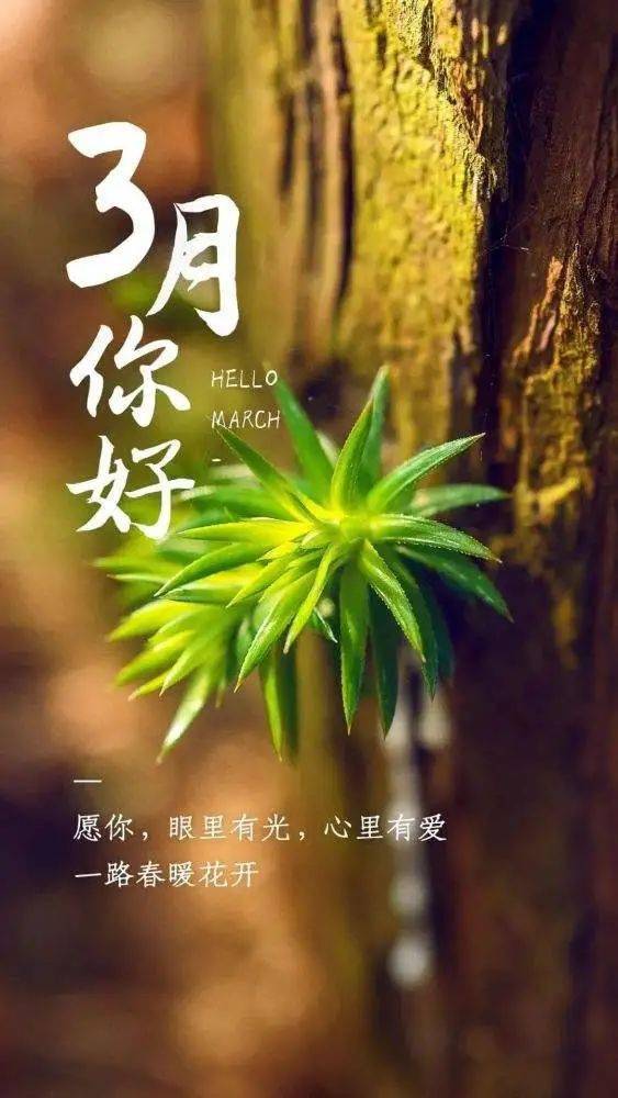3月你好