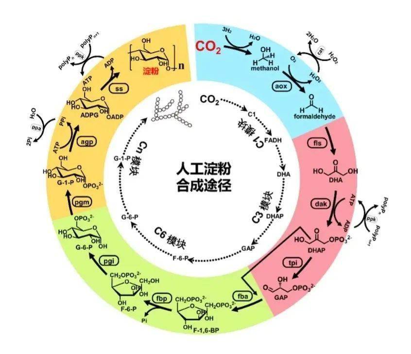 中国|重磅!2021年度中国科学十大进展公布
