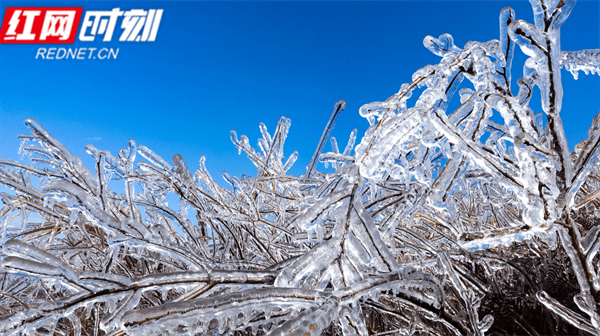 铜山|江永：“冰雪”铜山岭吸引众多游客“打卡”