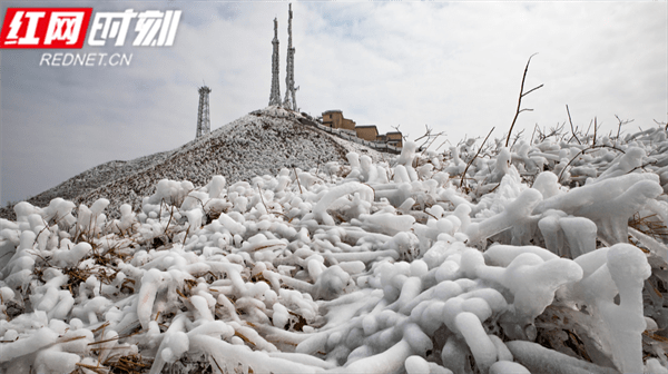 游客|江永：“冰雪”铜山岭吸引众多游客“打卡”