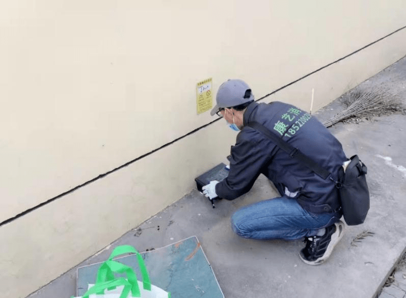 目前推薦使用的滅鼠藥是:溴敵隆溴鼠靈劑型為蠟塊顆粒劑的滅鼠劑別