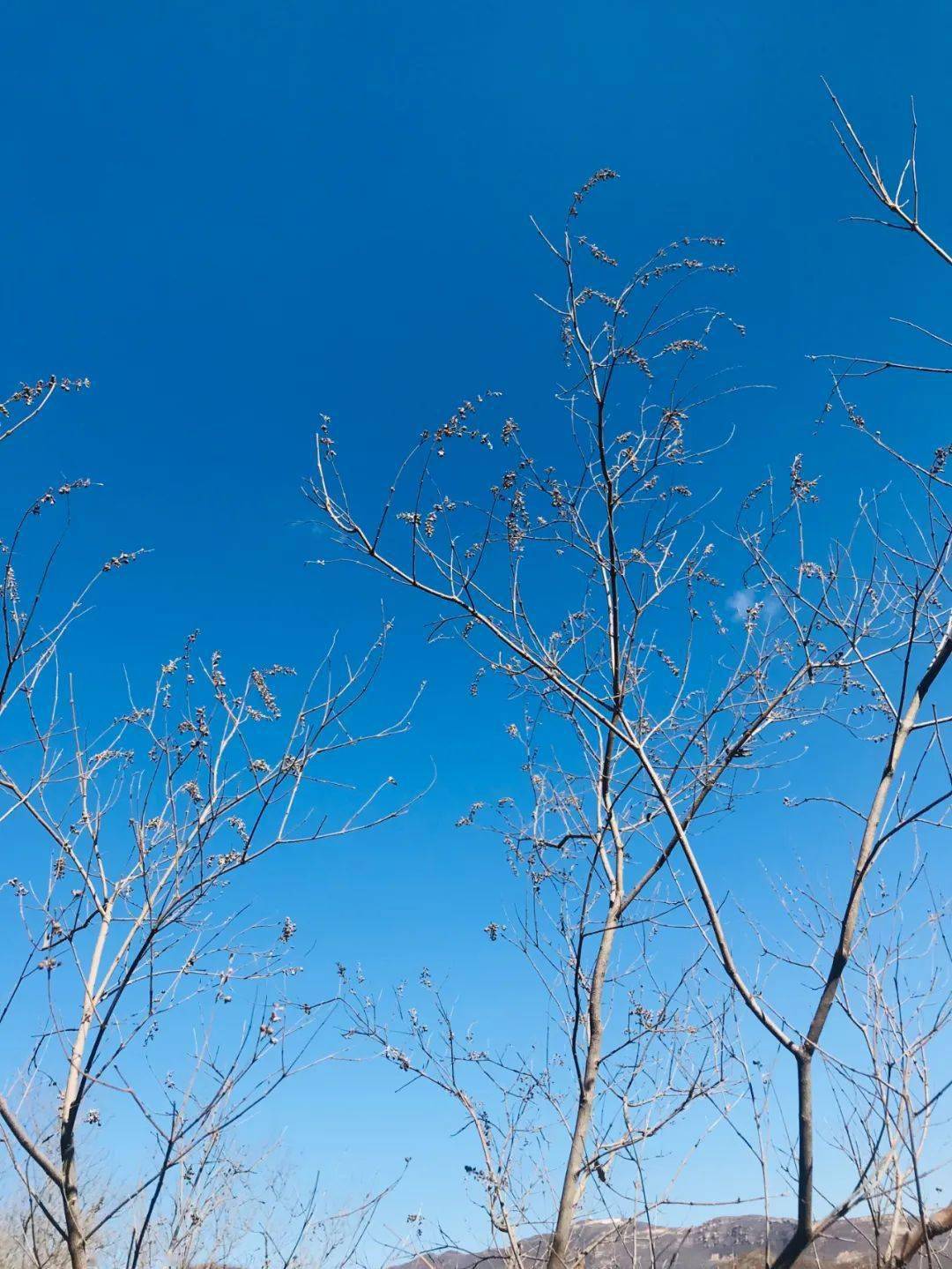 ��������ɽ ��֤����Ȼ���漣 �й��ε�ɽ�ӵ����ٶ�ʮһ�� ...