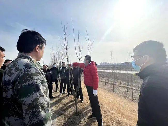 经验亮点 | 别样的"剪彩"_修剪_梁山_工作