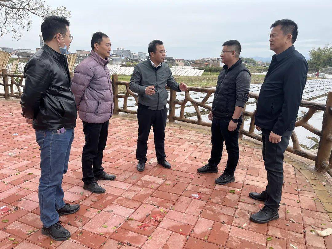 虎年继续发力顺德驻怀集帮扶工作组队力争新年新突破