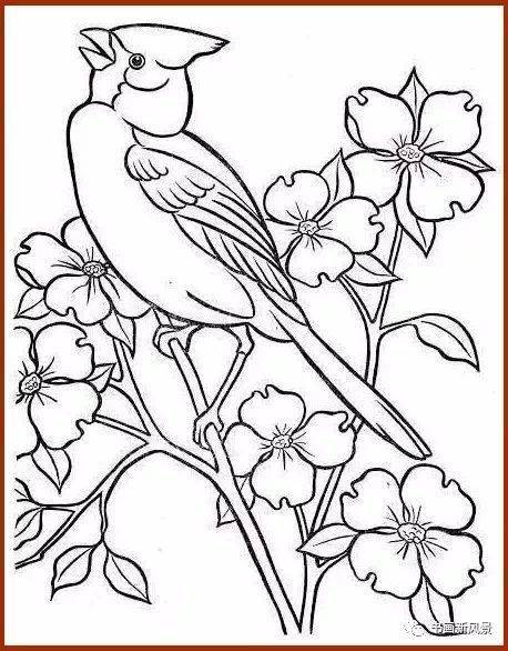 画鸟,简简单单,就是这么好看!_国画_合作_教程