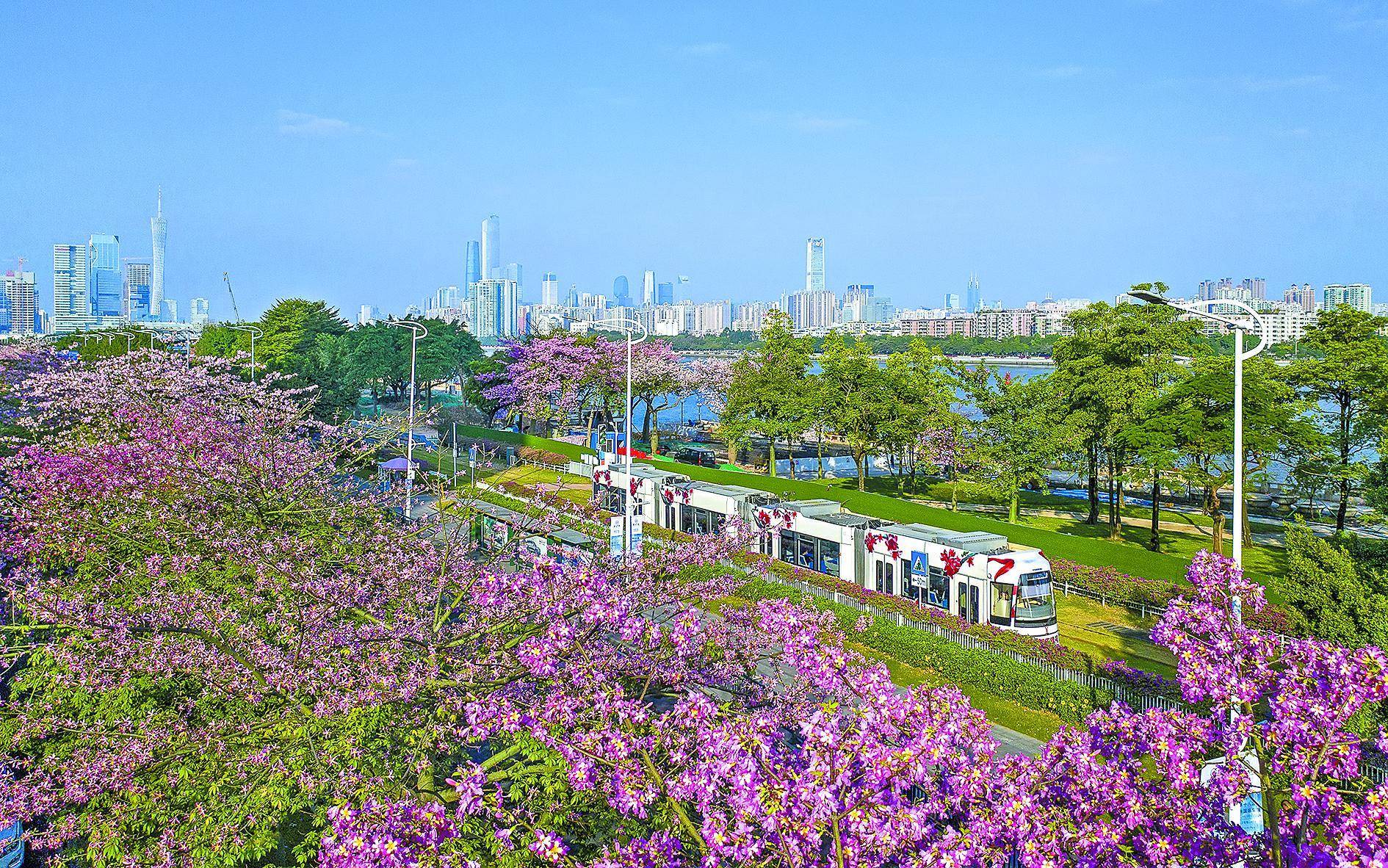 绣花功夫推进国土绿化科学规划建设美丽广州