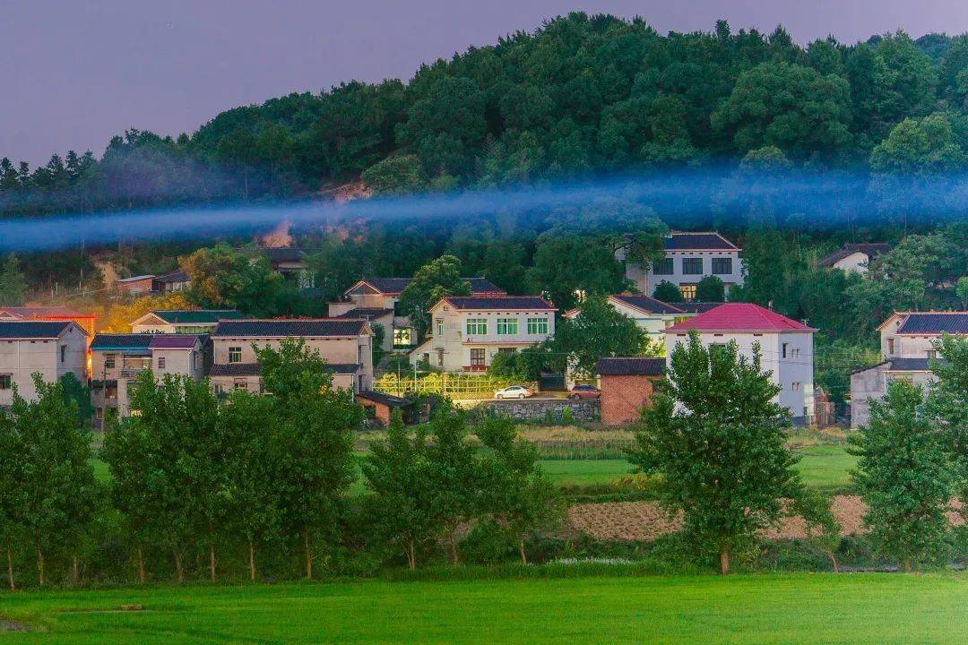 50黄冬云51黄清娥52李高年53梁春54罗忠春55胡显任56佘芳57张琼58何敏