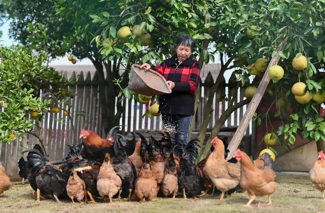 罗忠春55胡显任56佘芳57张琼58何敏59王敏琴60王依瑕61周淑兰62周雪云