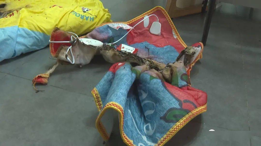 孩子被电热毯烫伤!厂家竟然说