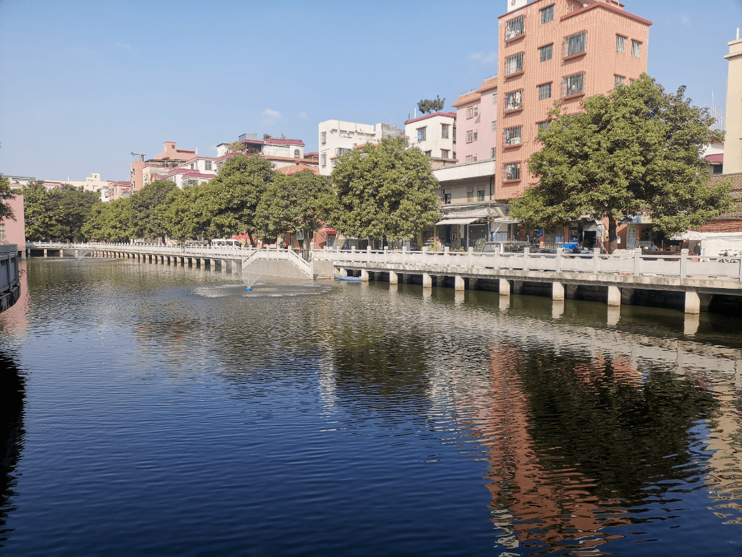 获奖名单揭晓张槎街道乡村振兴摄影大赛正式落下帷幕