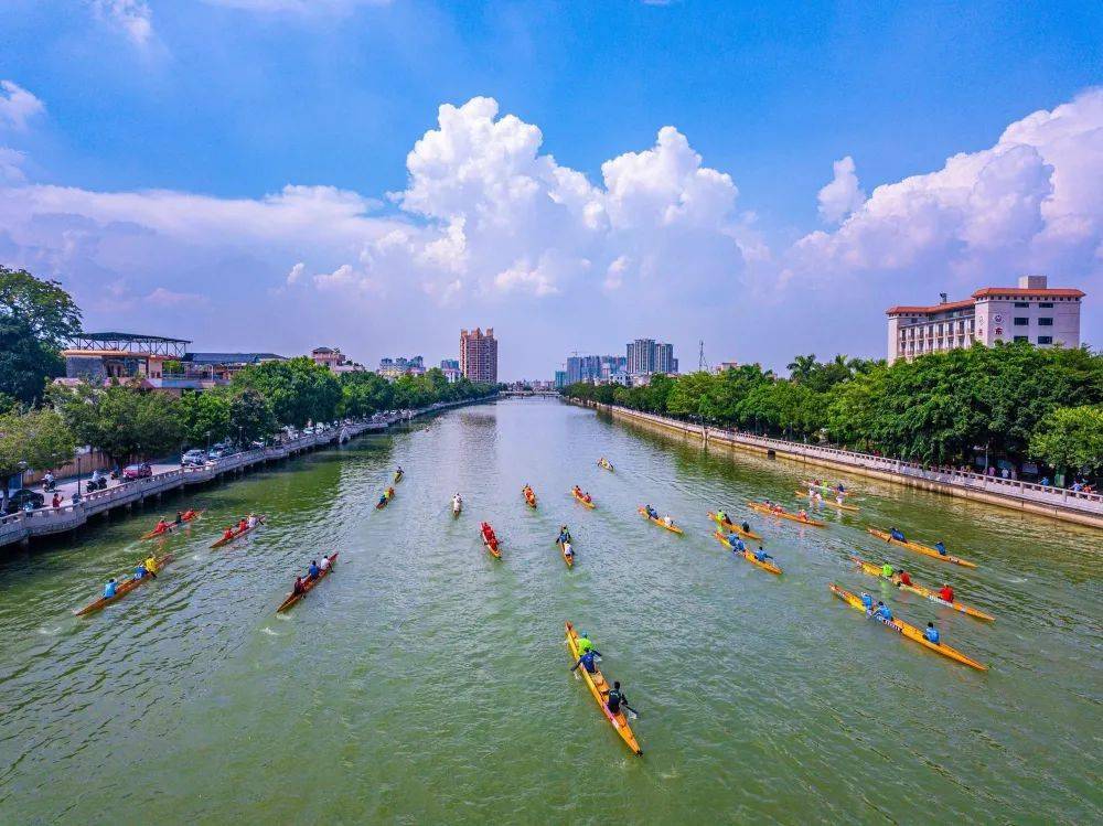 二月二龙抬头一叶龙舟载几许顺德龙舟精神