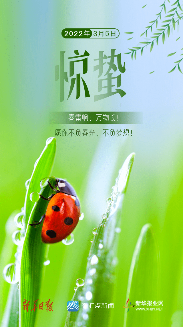 今日惊蛰万物复苏