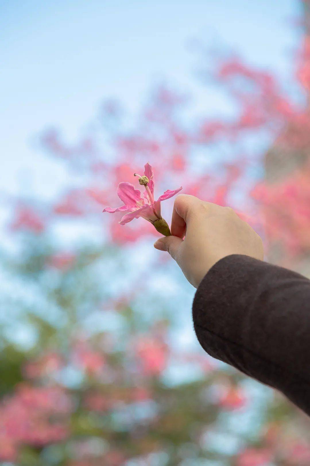 女子|广西文旅消费券，女神节专属福利，这一波超值