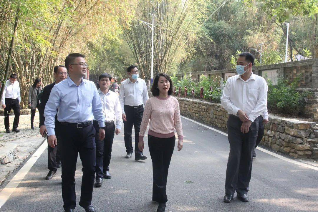 【奋进新征程 建功新时代】市领导到江州区调研_建设_文化_林霖