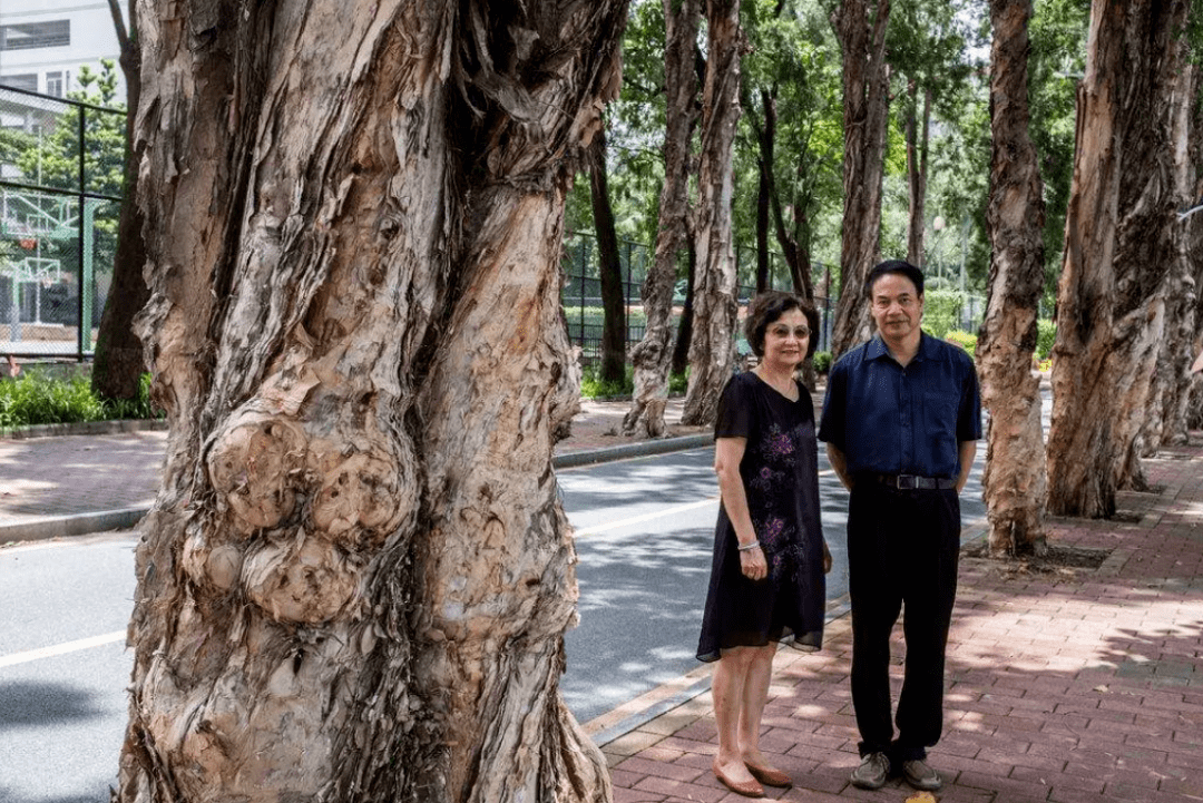 华裔科学家陈刚(华裔科学家陈刚中国计划)