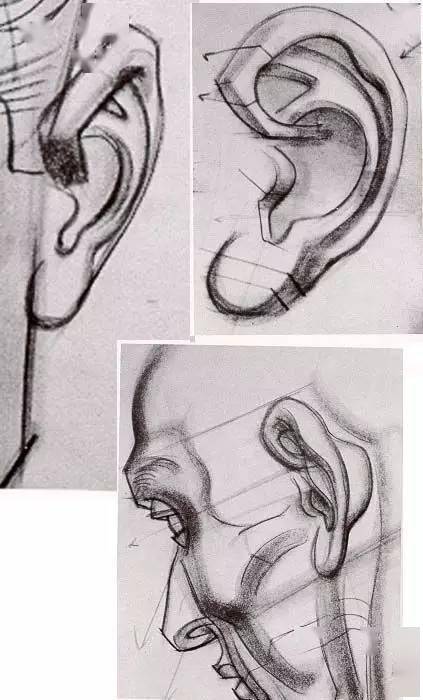 头像画素描五官，看这一篇就够了！