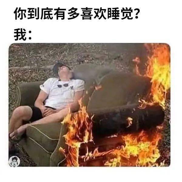 网络|当代年轻人能有多爱睡觉？？好家伙果然不愧是你们！