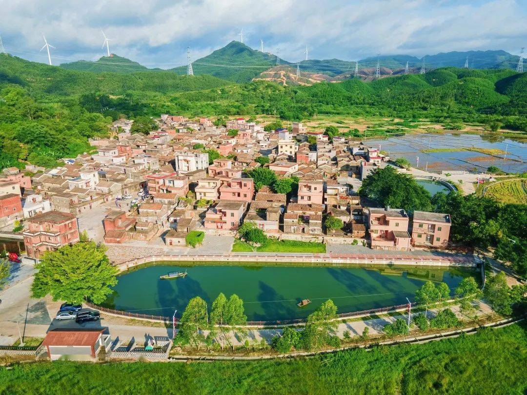 央视聚焦恩平美丽生态引全国关注这片绿太圈粉了