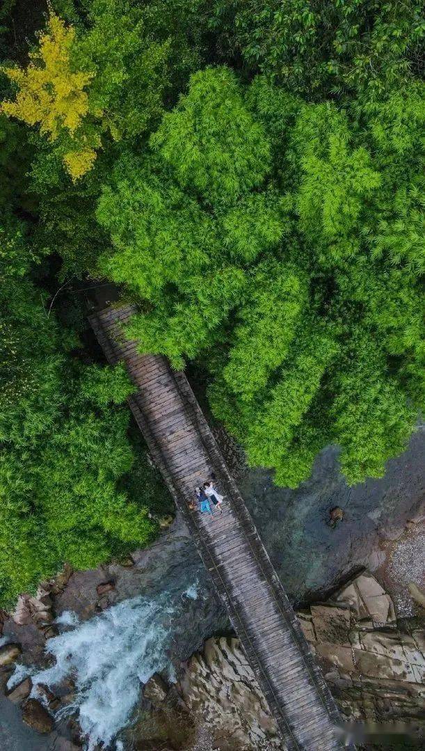 都江堰|赏避世桃源、游森林古道......都江堰这5处踏青小众秘境，带你开启一场治愈之旅~