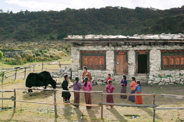 读碟|教室里的一头牦牛_乌金多吉_鲁纳纳_尔顿