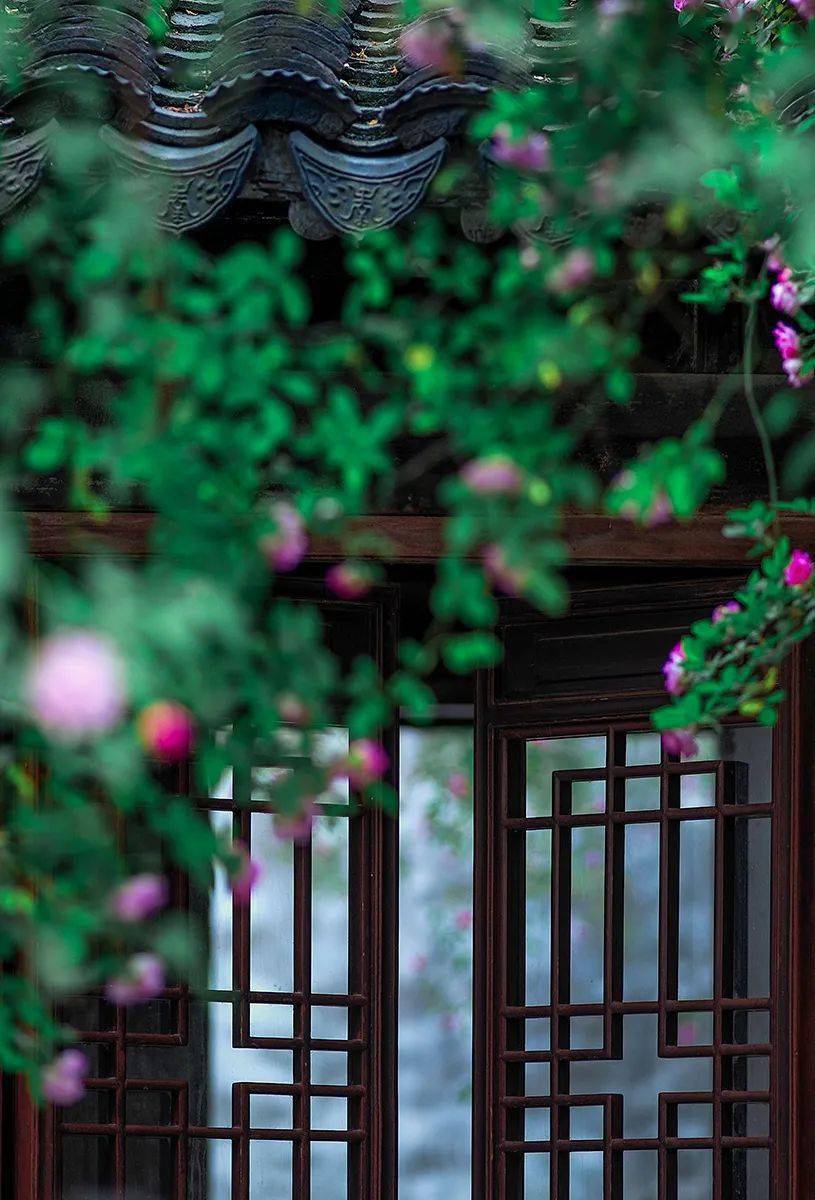 中式窗花在闭合时,也是一幅画,画布是窗外四季风景的变化.