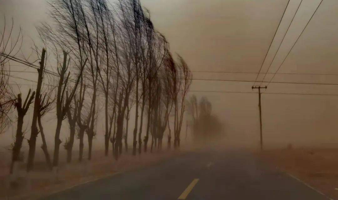 同心有扬沙或浮尘天气