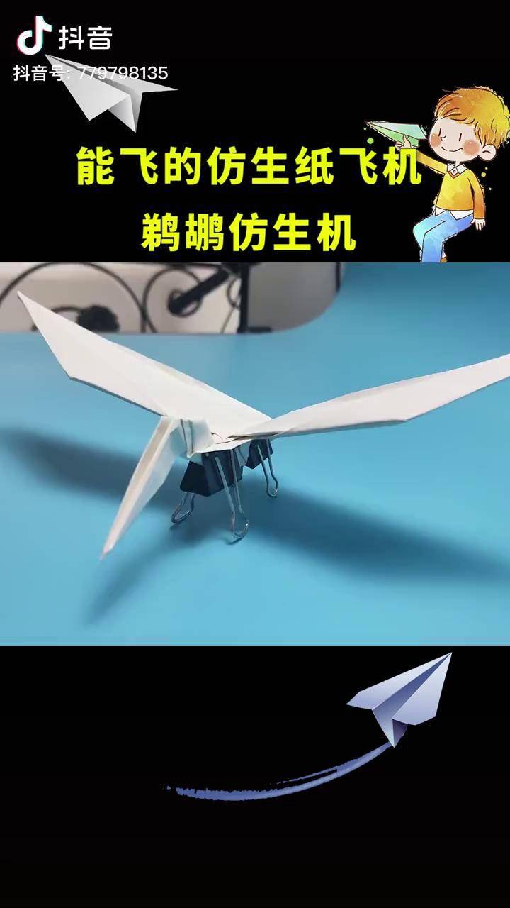 十大仿生纸飞机图片