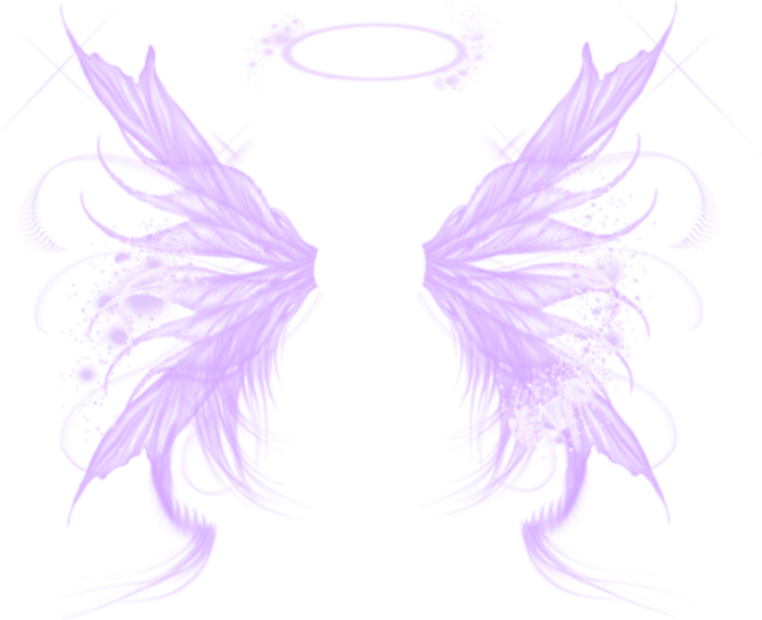各种翅膀类素材 ps素材 蝴蝶翅膀素材_素材_翅膀_蝴蝶