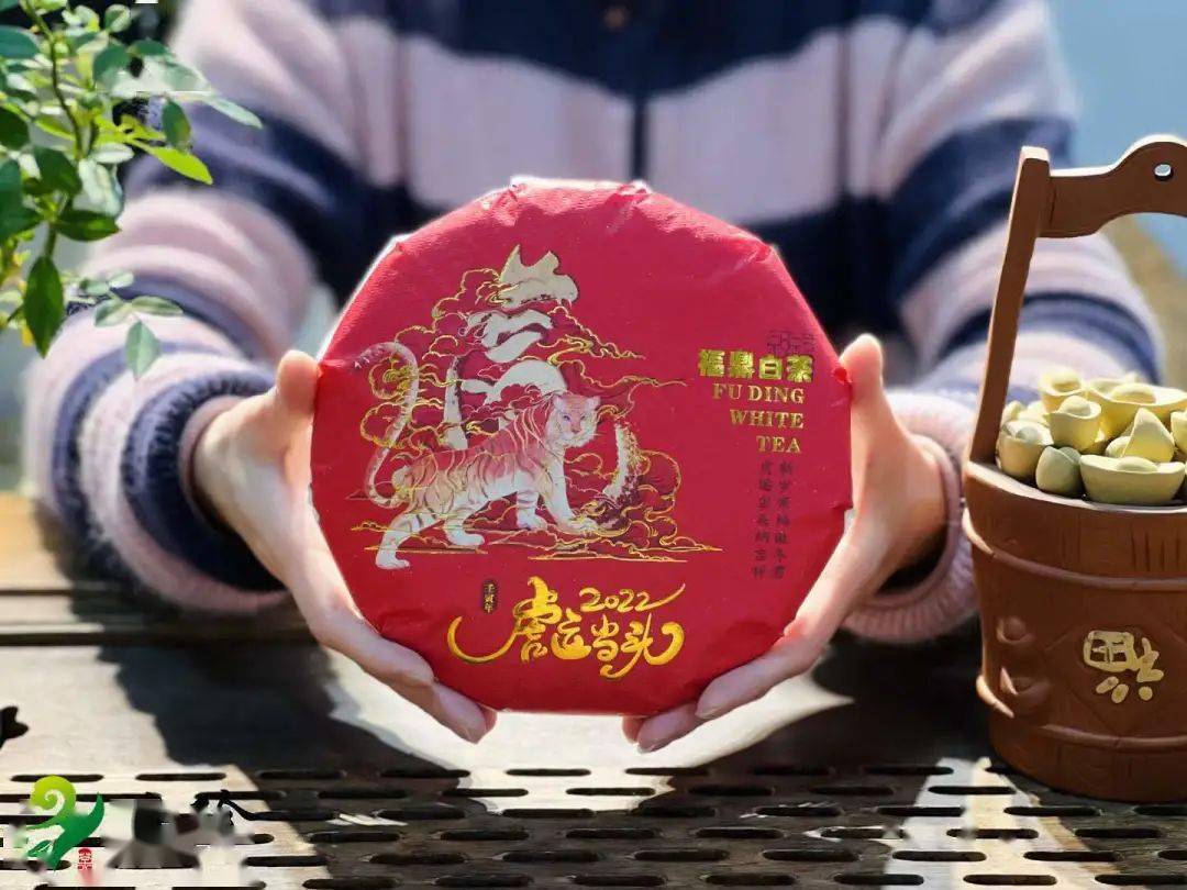 文章配图-13