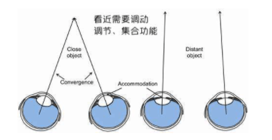 可能是调节功能在作祟_眼睛_状态_影响