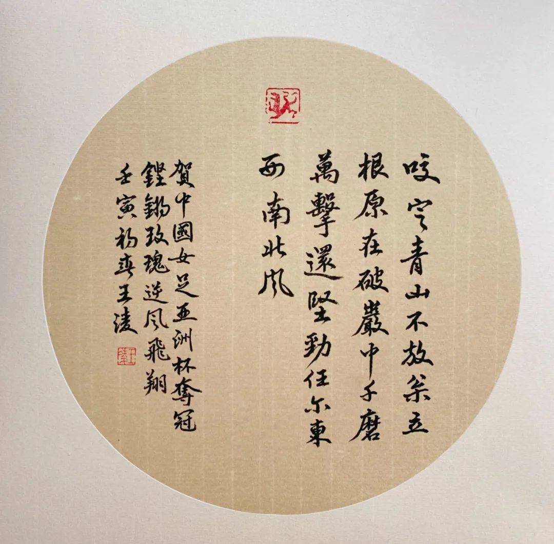 赏析四川省硬笔书法家协会为女足喝彩女子书法作品网络展