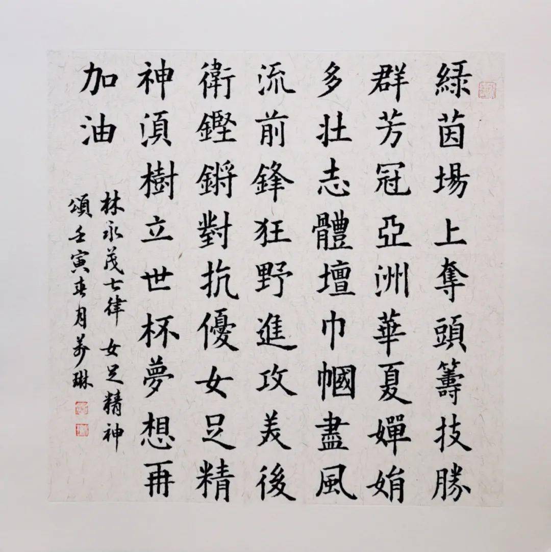 赏析四川省硬笔书法家协会为女足喝彩女子书法作品网络展