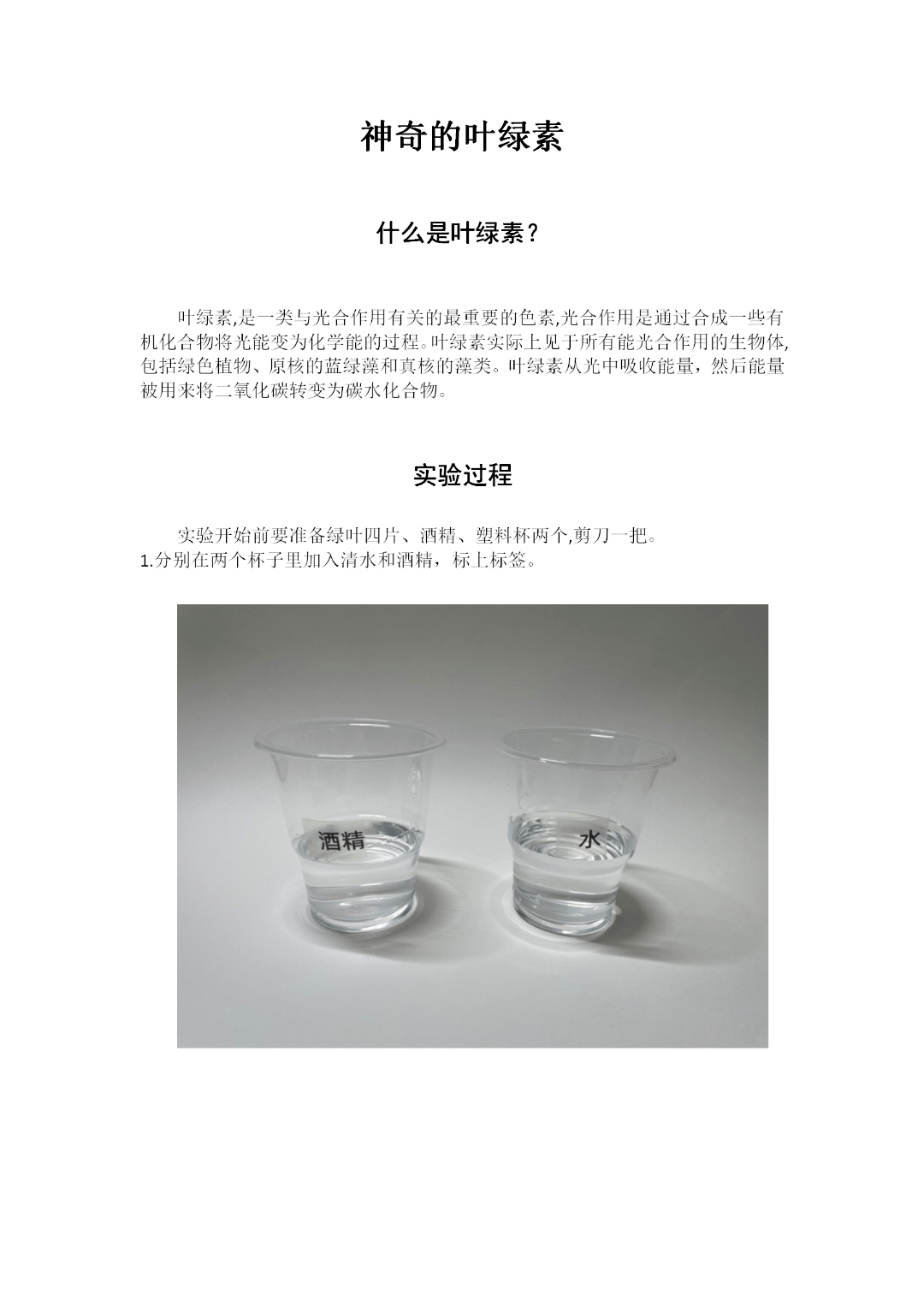 温室效应603班杨灿宇二氧化碳小实验604班陈楷宇交通信号灯演示502班