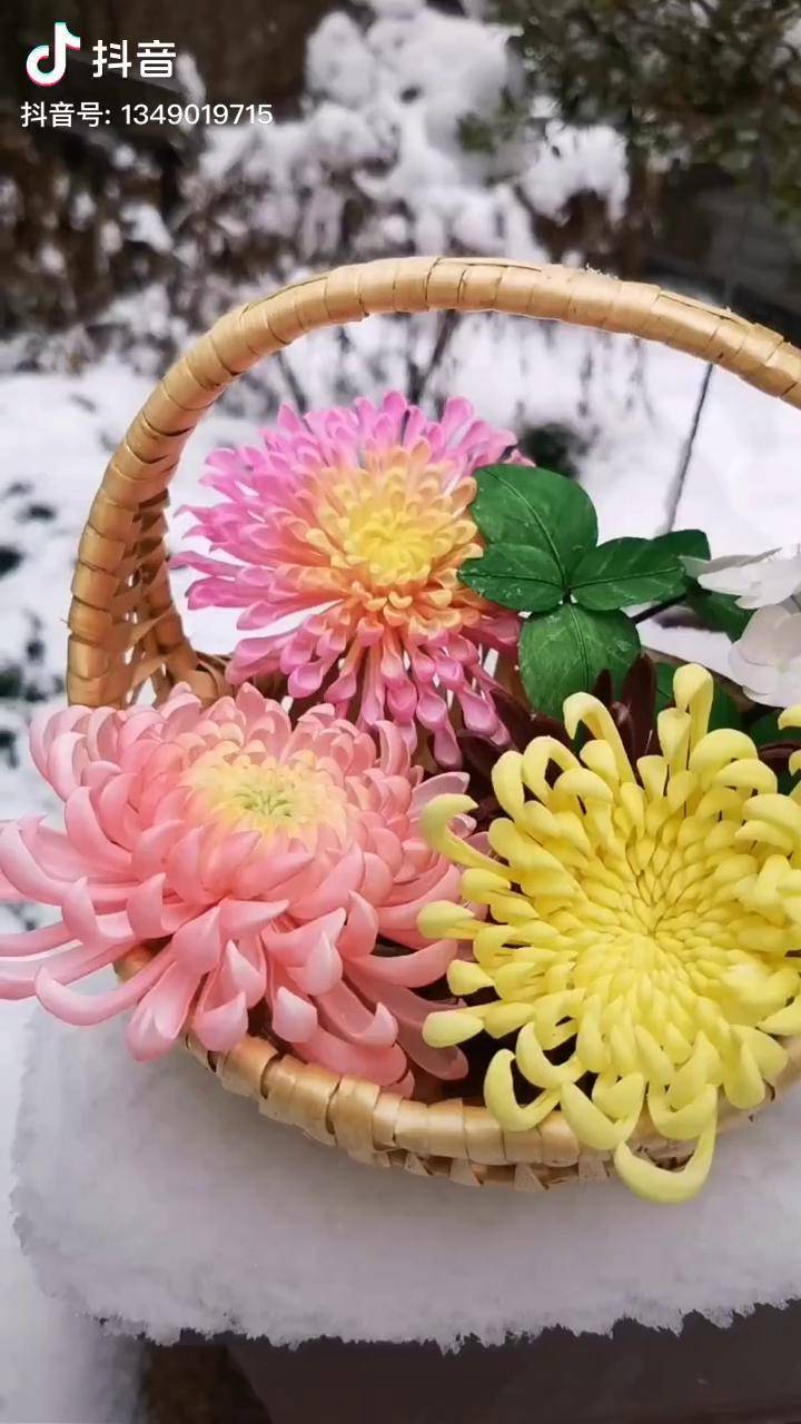通草花非遗过年dou来播菊花永生花手工diy扬州的雪就下了一天我还没