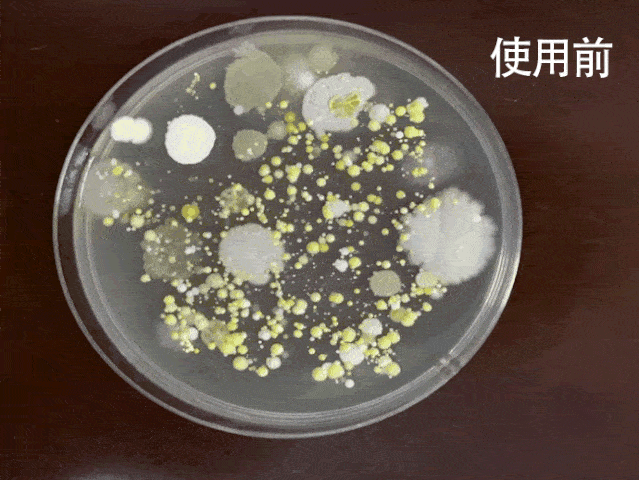 霉菌竟是一级致癌物，家里发霉千万不要大意了！一喷一擦一冲,轻松去除霉斑!