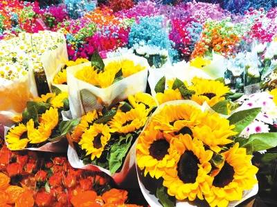 三八节带火 美丽 消费 鲜切花市场商户忙 向日葵 鲜花 价格