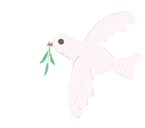 世界青光眼周丨青光眼早发现早治疗