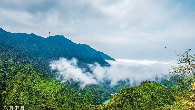 景区|福利！“三八”妇女节，江西这些景区免门票