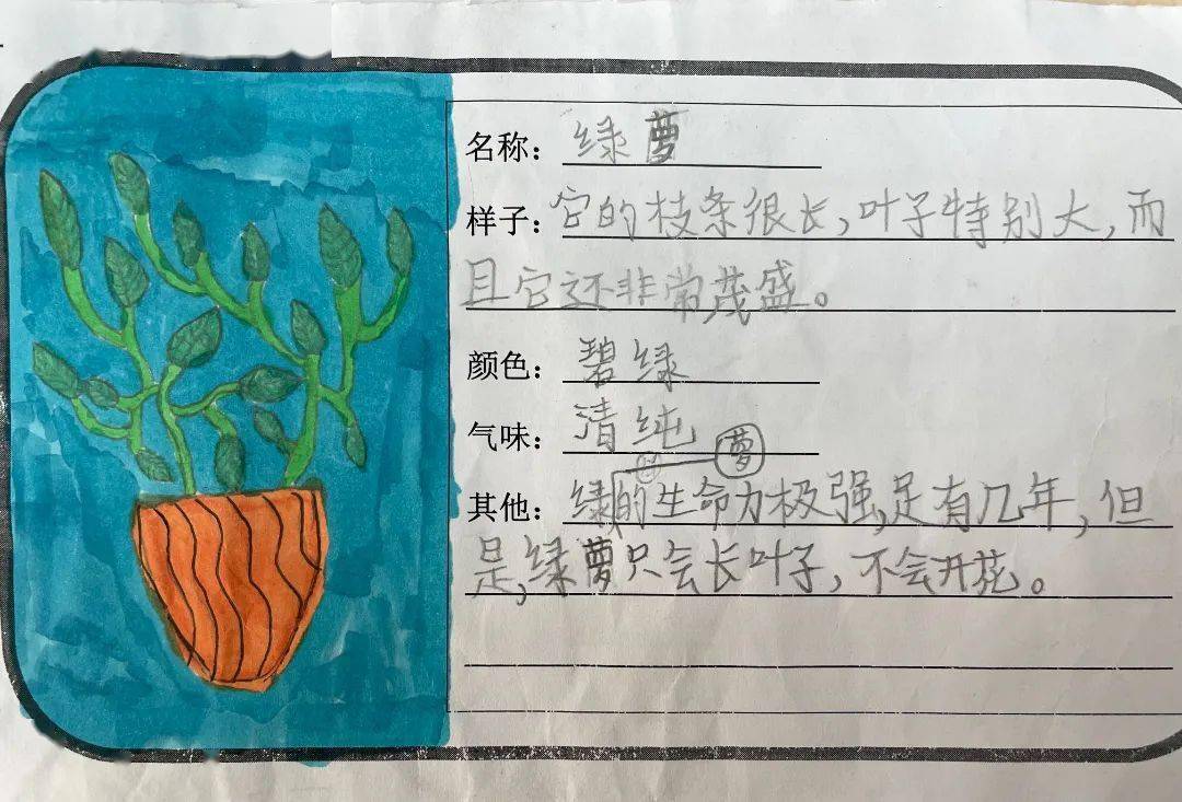 三年级写植物作文_3年级植物作文_三年级写作文植物的作文