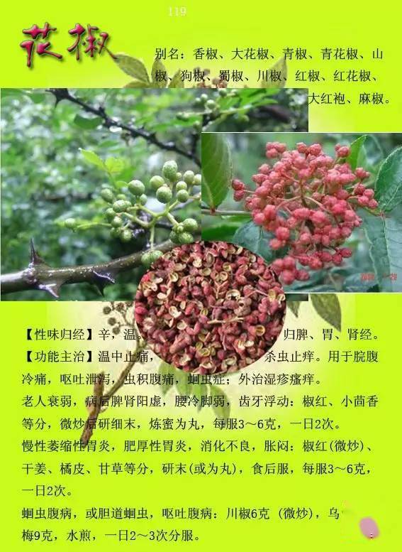 300种常见中草药图谱含功能主治