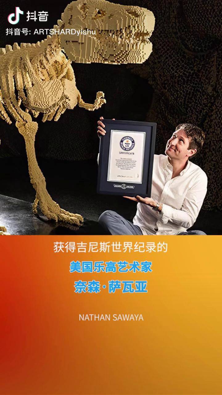 律师成为乐高艺术家并获得吉尼斯世界纪录乐高爱好者评论区见乐高艺术