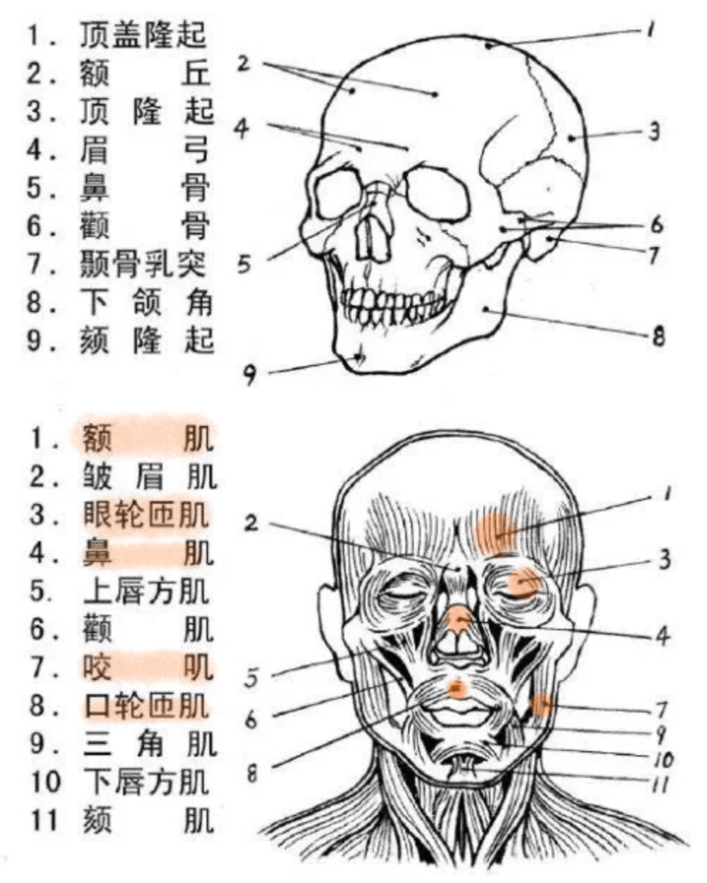 商业人像修图终极密码!