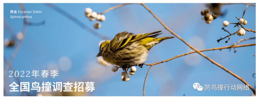 历史|一周城市生活 | 宁波开春