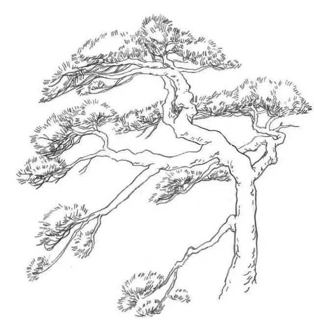 手绘风景速写画树很简单