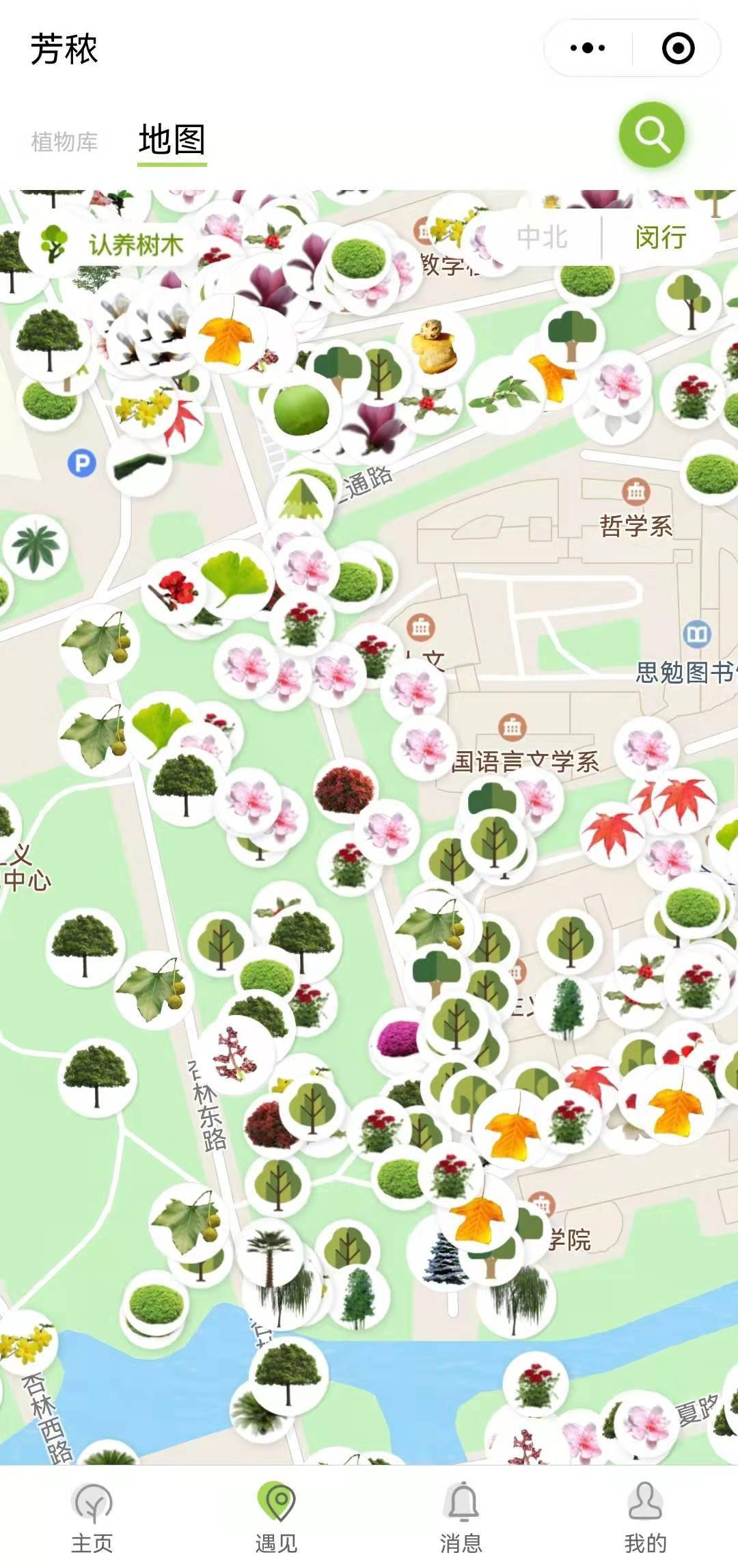 校园植物地图图片