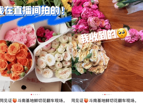 花指南节日收花指南：是万把块的野兽派，还是三十元的基地玫瑰？